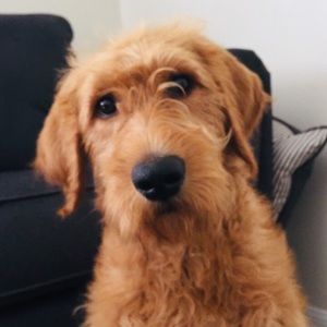 Meet your Posher, Natalia